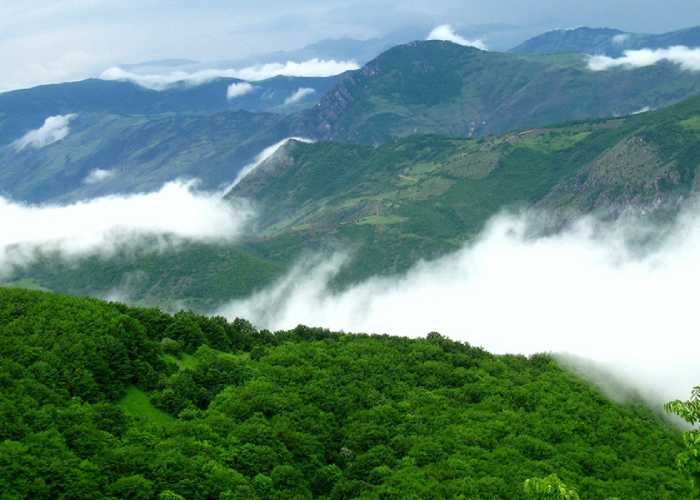 جنگل ارسباران