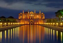 باغ فتح آباد کرمان