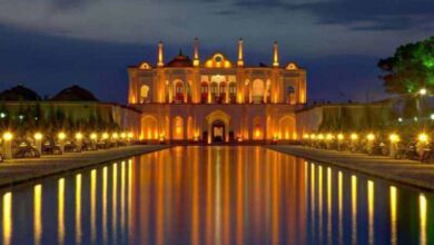 باغ فتح آباد کرمان