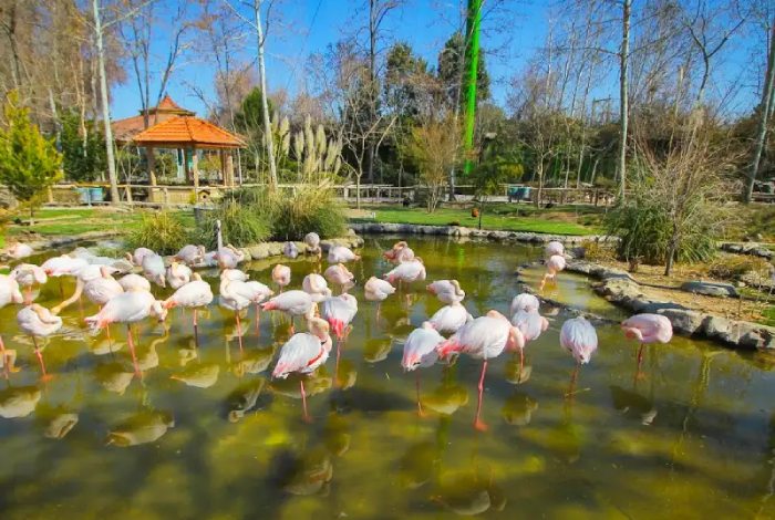 باغ پرندگان اصفهان